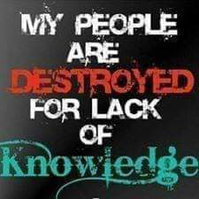 Even if it appears that all hope is lost, here are 5 reasons to remain&nbsp;optimistic