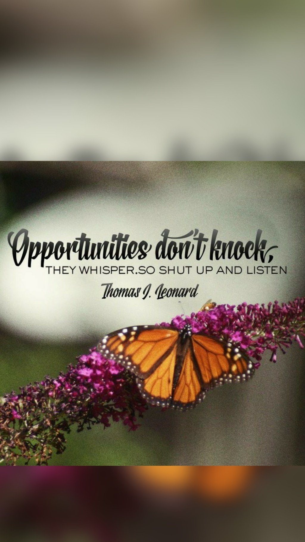 HAVE YOU LEARNED CANVA YET?   TONIGHT AT 8 PM EST, YOU CAN JOIN&nbsp;US